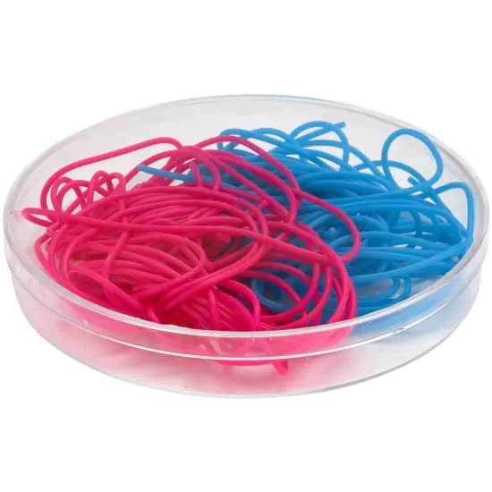 Pioneer Plastics 052C Clear Round Petri Dish Plastic Container, 4.3125" W x 0.625" H {3}