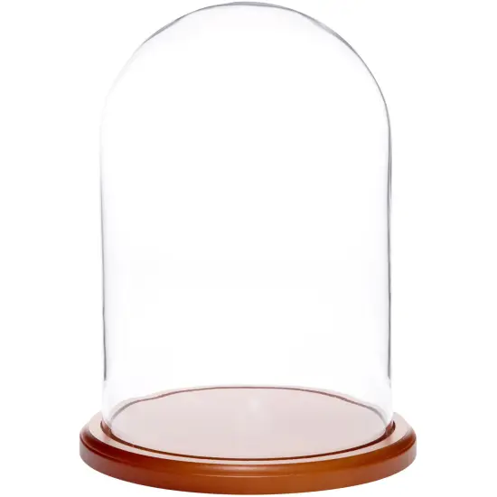 Plymor 8" x 12" Glass Display Dome Cloche Black Wood Veneer {2}