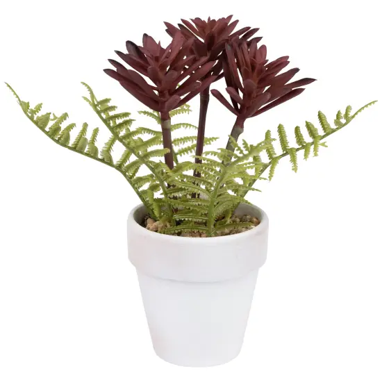 Northlight Succulent Fern in Ceramic Pot - 8" Purple {5}