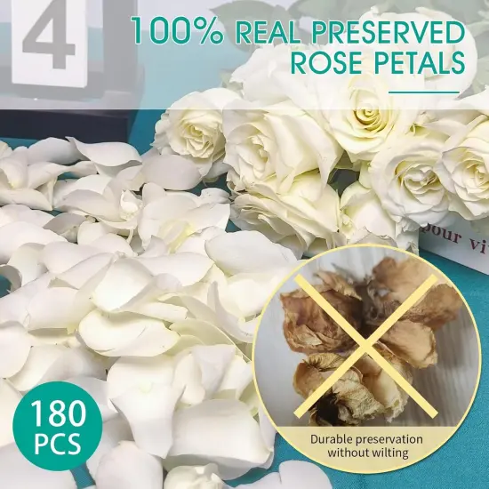 Dried Real White Rose Petals, Freeze Preserved Flower Petals 1.75oz for Valentine's Day Gifts Wedding Party Decor {2}