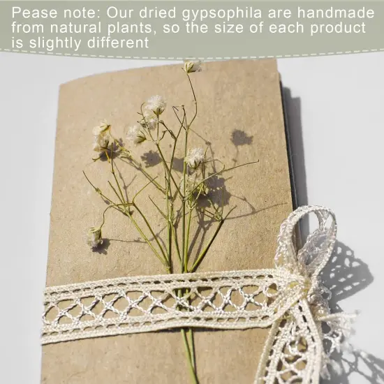 50 Pcs Mini Dried Baby Breath Flowers Wedding Ivory Natural Flowers Bulk Dried Gypsophila for Vase Brides Shower Invitation Card DIY Candle Making Decor Craft Party Resin Art, 2-4 in {3}