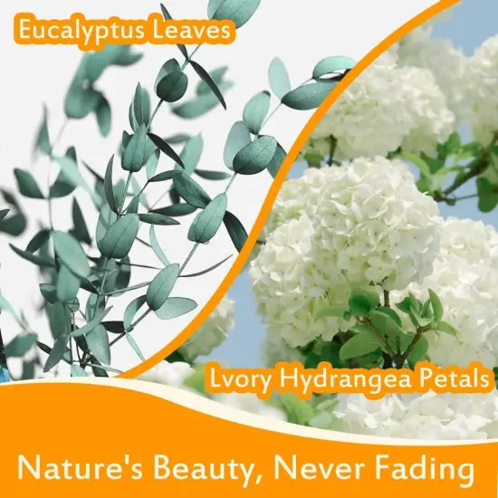 Real Dried Ivory White Hydrangea Flower & Eucalyptus Petals - 3000+ Natural Fragrant Confetti for Wedding, Flower Girl Baskets, Aisle Decor, Scented Sachets, Spring Potpourri Bags, Air Freshener {5}