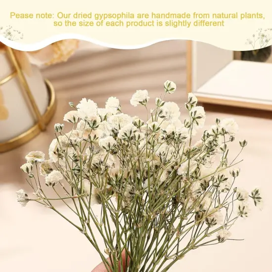 200 Pcs Mini Dried Babys Breath Flowers Bulk White Dried Pressed Natural Flowers Real Gypsophila Baby Breath for Wedding Resin Art Craft DIY Invitations Card Making Home Party Floral Decor {3}