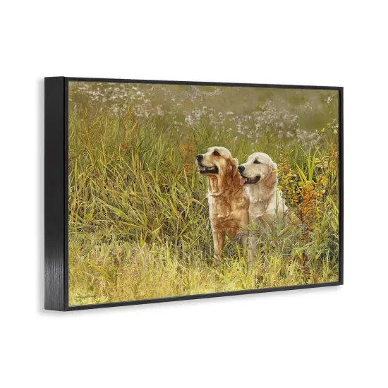 Stupell Industries Happy Dogs Field Day Framed Giclee Design by Sueellen Ross {9}