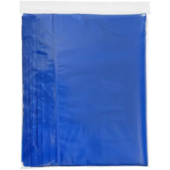 Plymor 9" x 12", Blue 2 Mil Zipper Reclosable Plastic Bags {5}