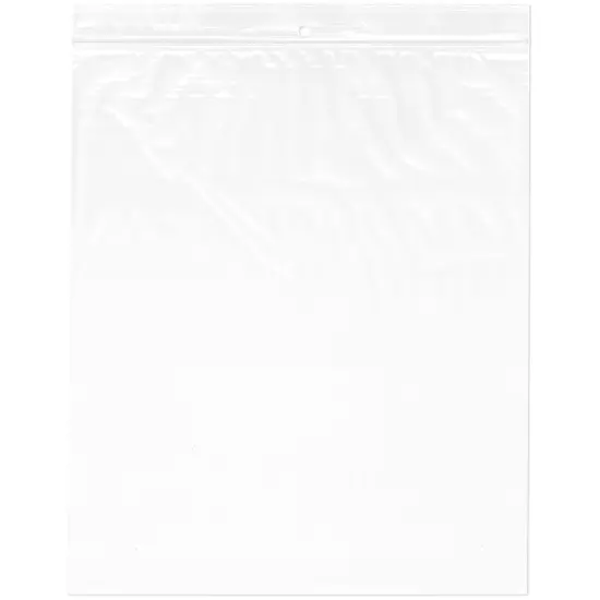 Plymor 10" x 12", 2 Mil with Hang-Hole Zipper Reclosable Plastic Bags {1}