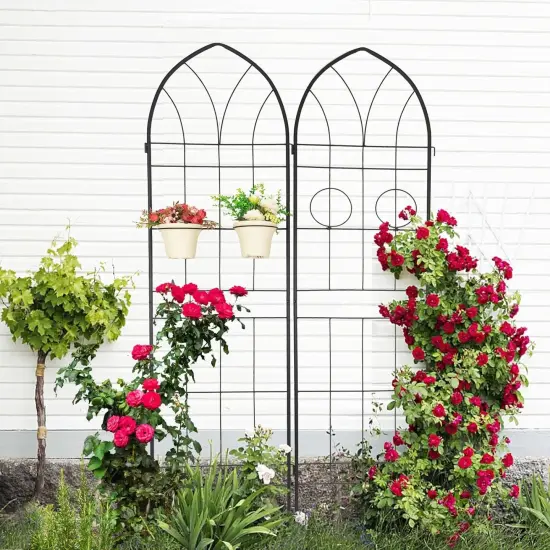 2-Pack Rustproof Metal Garden Trellis Plant Support {3}