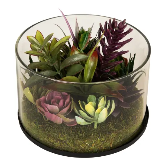 Northlight Mixed Succulent Artificial Arrangement in Round Glass Jar - 8" Green {4}