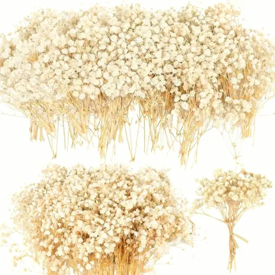 4700+ Mini Dried Babys Breath Flowers, 90+Pcs Ivory White Baby Breath Flower Bulk, Dried Flowers for Crafts, Wedding Decor Boho Invitation, Resin Candle Making, Dry Babies Flowers, Rustic Gypsophila {1}