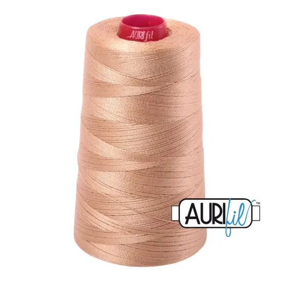 Cachemire (2318) | 12wt Cone (1750M / 1914Y) | Aurifil Thread {1}