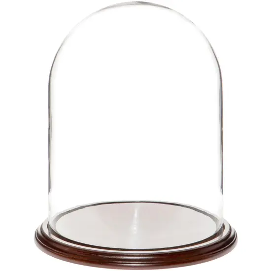 Plymor 11.75" x 15" Glass Display Dome Cloche Dark Mahogany Veneer {1}