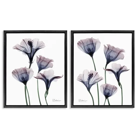 Stupell Industries Bountiful Dusk Lilies 2pc Floating Frame Set Design by Albert Koetsier {1}