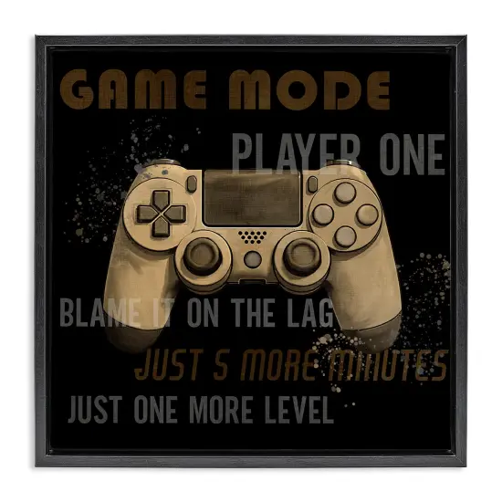 Stupell Industries Gamer Phrases Vintage Style Floating Frame Design by Kim Allen {1}