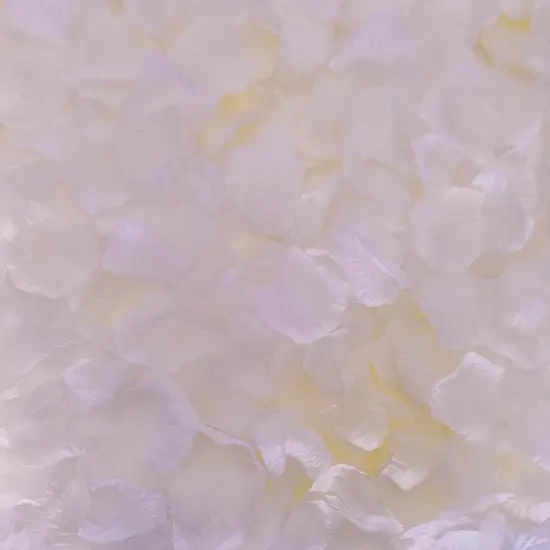 1000 PCS Separated Artificial Champagne Rose Petals for Romantic Night for her Set,Faux Champagne Flower Petals for Flower Girl Weddings {1}