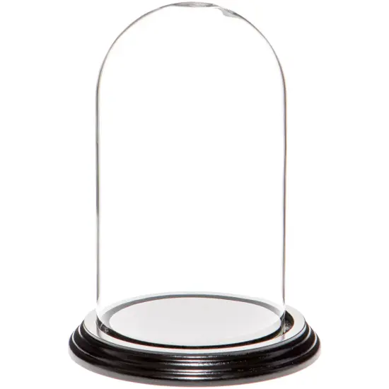 Plymor 4" x 7" Glass Display Dome Cloche Black Wood Veneer {1}