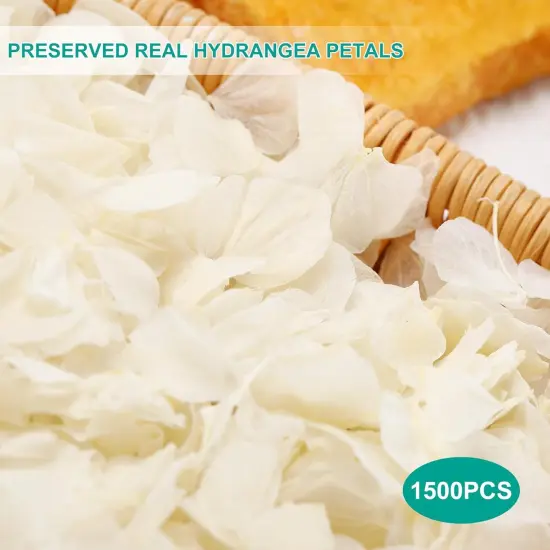 Dried Real Hydrangea Petals, Natural Preserved Dry Flower Petal for Wedding Party Dinner Table Decor, Romantic Night for Her, Engagement, Bridal Shower, Valentines Day, Confetti {2}