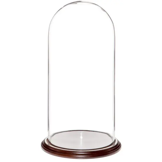 Plymor 9.75" x 20" Glass Display Dome Cloche Dark Mahogany Veneer {1}