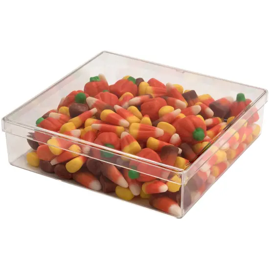 Pioneer Plastics 062C Clear Square Plastic Container, 5.25" W x 5" D x 1.375" H {5}