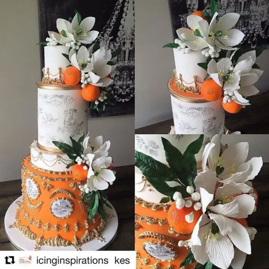 Toile Cake Stencil Side | C464 by Designer Stencils | Cake Decorating Tools | Baking Stencils for Royal Icing, Airbrush, Dusting Powder | Reusable Plastic Food Grade Stencil for Cakes | Easy to Use & Clean Cake Stencil {3}