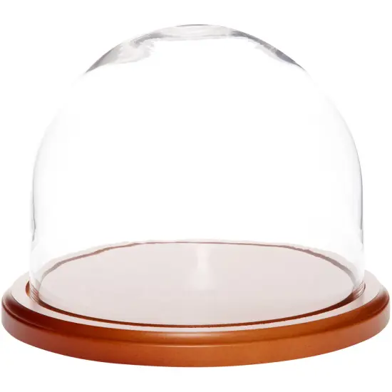 Plymor 8" x 6.5" Glass Display Dome Cloche Oak Veneer {2}