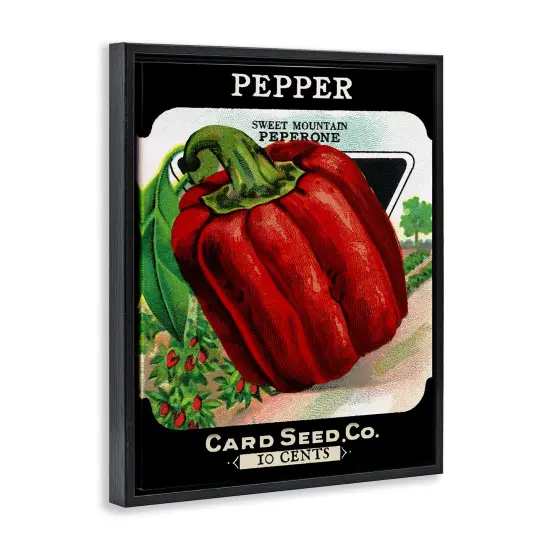 Stupell Industries Vintage Garden Peppers Floating Frame Design by Lil' Rue {3}