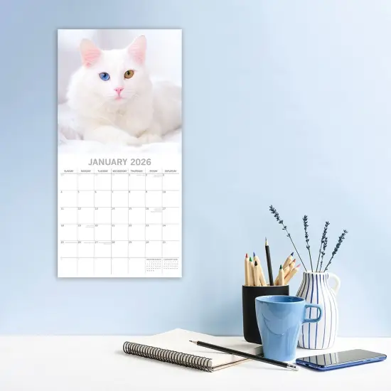 The Gifted Stationary 2026 Square Wall Calendar, Top Cats, 16-Month Animals Theme Hanging Calendar with 180 Reminder Stickers, Month Planner for Home and Creative Spaces, 12x12 In Multicolor {2}