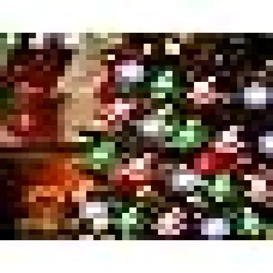 Waterproof Xmas Fairy Lights for Home Party {3}