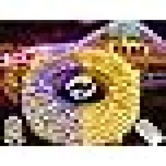 Twinkle Lights for Bedroom Home Party Wedding Patio Christmas Tree Decorations {6}