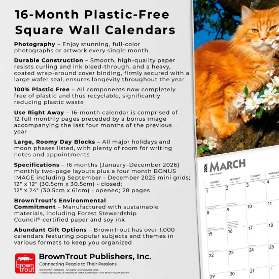 Cat Lovers | 2026 12 x 24 Inch (Hanging) Monthly Square Wall Calendar | Foil Stamped Cover | Plastic-Free {6}
