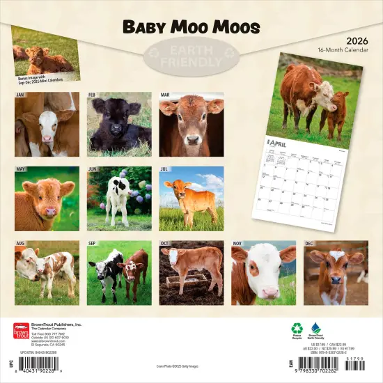 Baby Moo Moos | 2026 12 x 24 Inch (Hanging) Monthly Square Wall Calendar | Plastic-Free {2}
