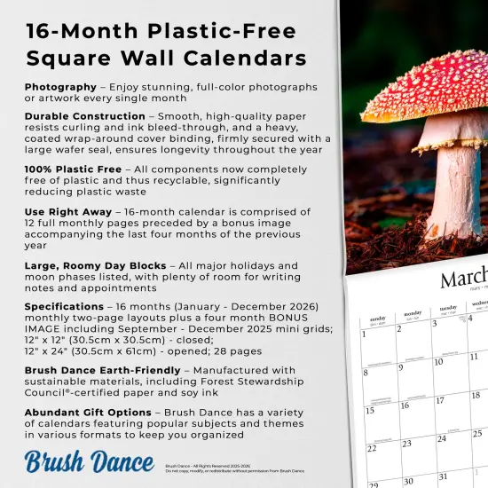 Magic Mushrooms | 2026 12 x 24 Inch (Hanging) Monthly Square Wall Calendar | Plastic-Free {6}