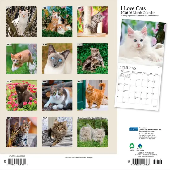 I Love Cats | 2026 12 x 24 Inch (Hanging) Monthly Square Wall Calendar | Foil Stamped Cover {2}