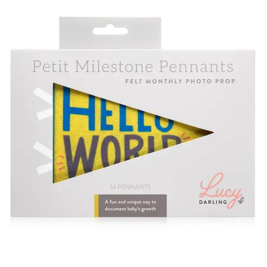LITTLE KALEIDOSCOPE PETIT MILESTONE PENNANTS {6}