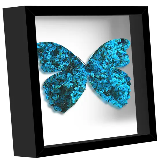 Picrit 5x5 Shadow Box Frame, Display Case Box with High Definition Real Glass and Black Back for Memorabilia, Baby Items, Wedding Memories, Crafts, Tickets and Photos, Black {2}