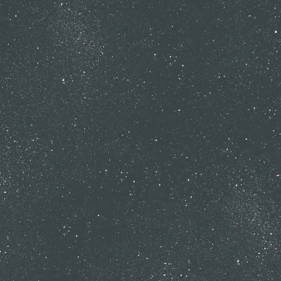 Anthracite Speckle Gift Wrap {2}