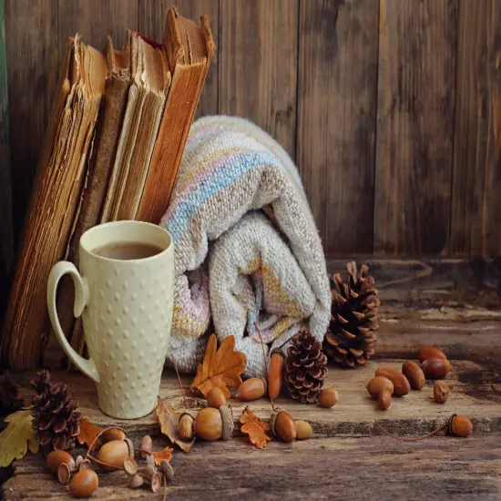 Cozy Weather - Premium Fragrance Oil {1}