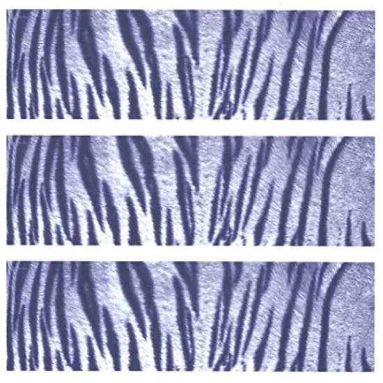 White Tiger Edible Cake Border Decoration {1}