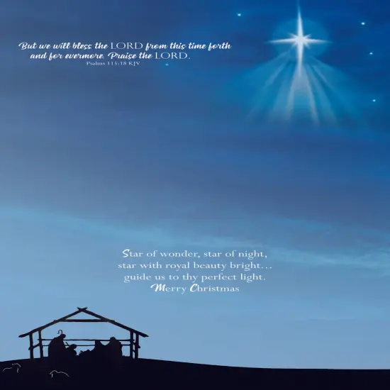 Large Boxed Christmas Card Assortment- Joyful Greetings - 24 cards and envelopes {5}