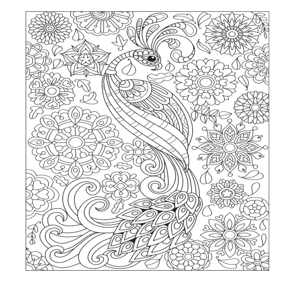 Creative Haven: Fanciful Birds Coloring Book-Softcover {6}