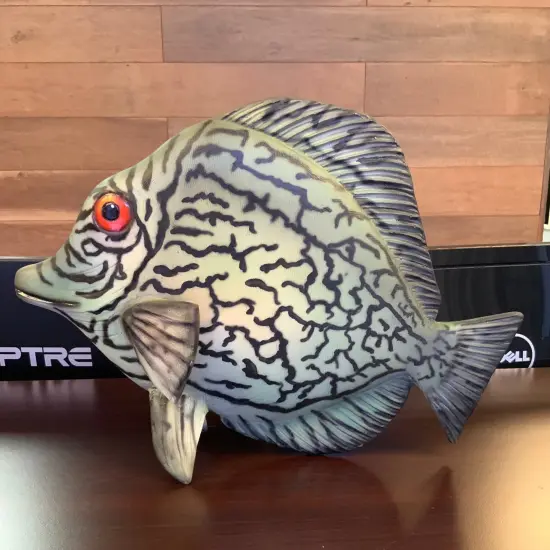 Discus Fish Statue {3}