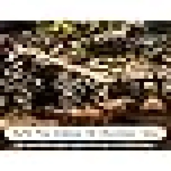 Holiday Fairy String Lights for Christmas Trees {4}