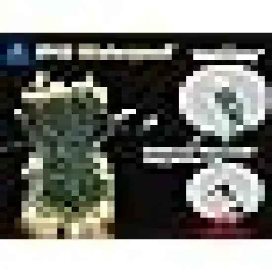 White Christmas Lights Commercial Grade Outdoor Waterproof {4}