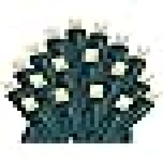 Christmas Mini Light String on Green Wire {5}