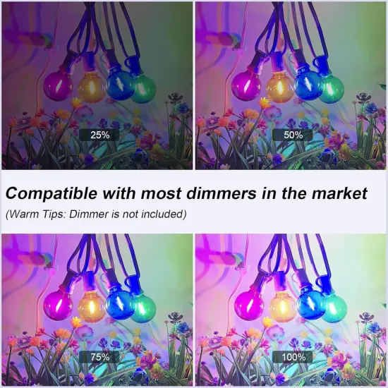 25Ft LED Outdoor String Lights {3}