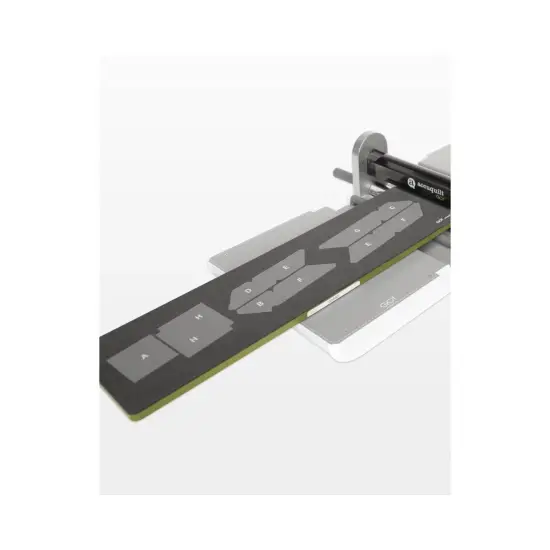 GO! Pineapple-10" Finished Die {2}