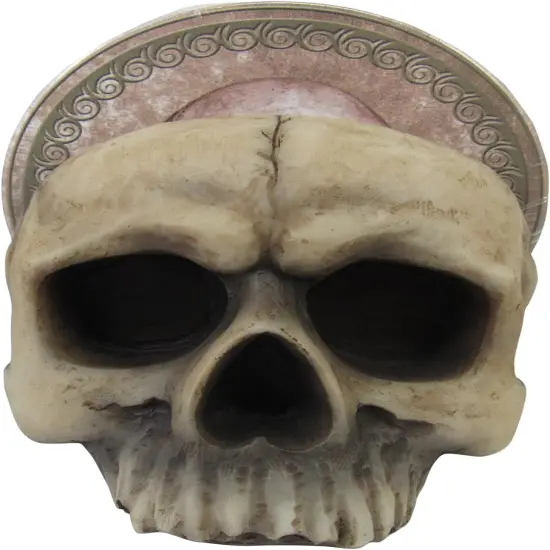 4 Piece Decorative Skull Holder with Drink Absorbent Coasters {4}