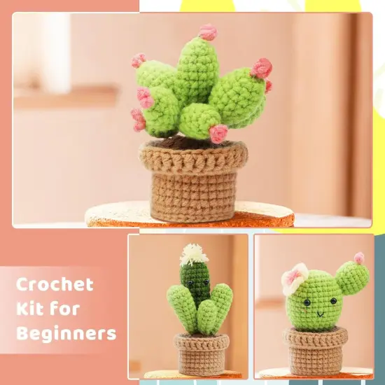 DIY Cactus Plants Crochet Kits {4}