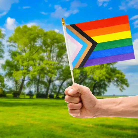 12 Pack Progress Rainbow Gay Pride Stick Flag Small Mini Hand Held LGBT Flags {4}