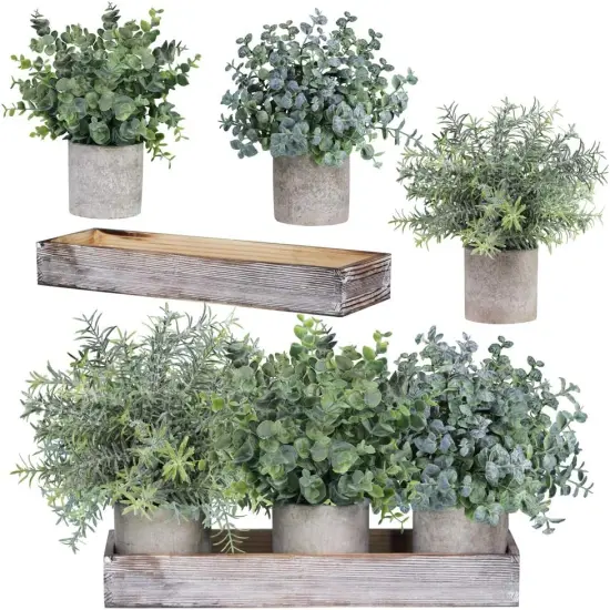 Set of 3 Mini Artificial Eucalyptus & Rosemary Plants in Wooden Planter {2}