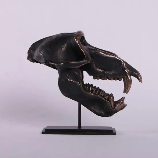 Monkey Baboon Skull Life Size Statue {4}